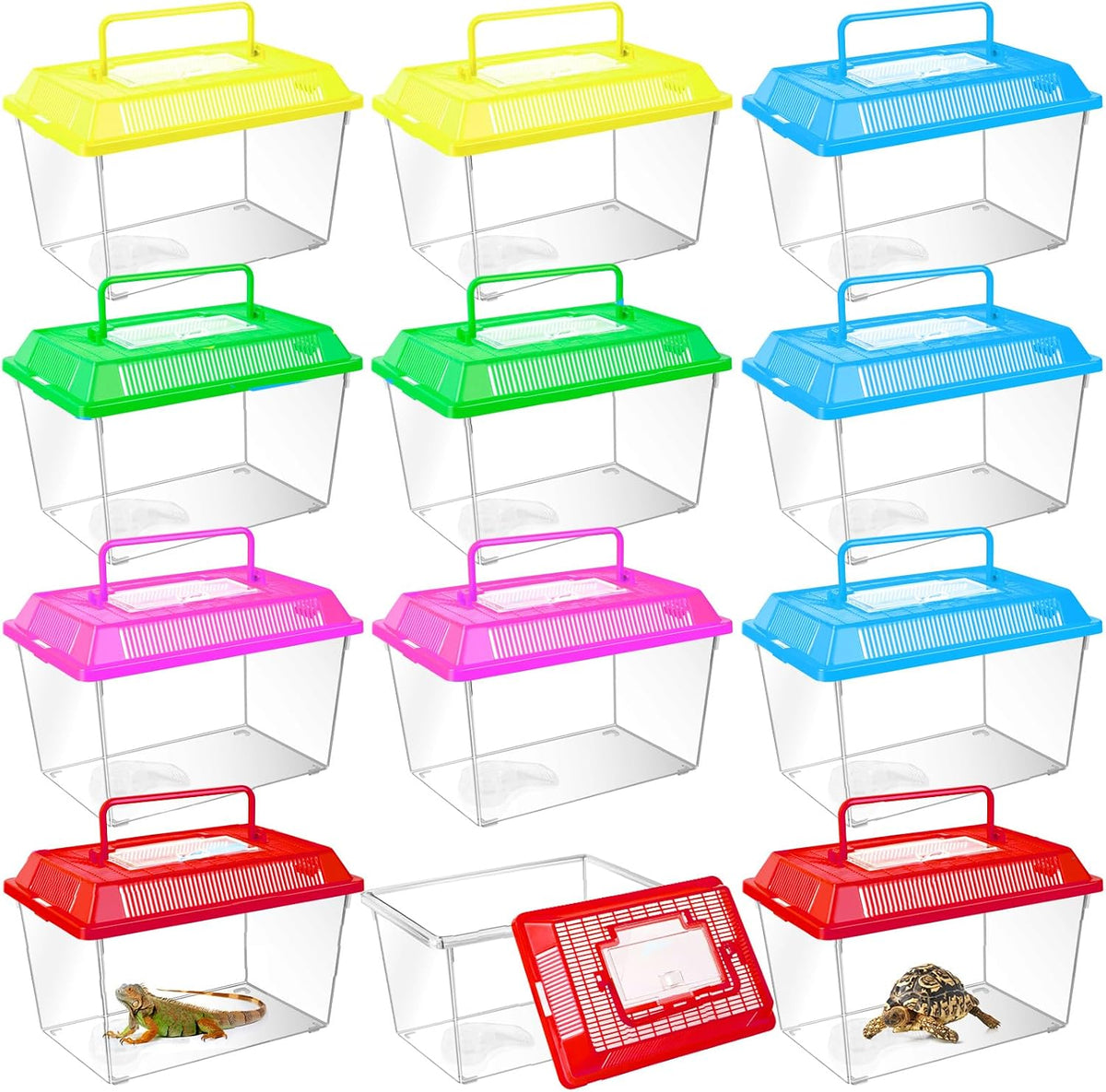 12Pcs Plastic Reptile Terrariums Carrier Cage - L