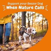 Zesty Paws Senior Cranberry Supplement for Dogs - Bladder Control for Senior Dogs - Urinary Tract Support - Cranberry Chews - Immune & Gut Support - Chicken - 90 Count
