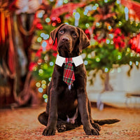 ADOGGYGO Fall Dog Neck Tie - Medium / Red & Green-2 - image 3