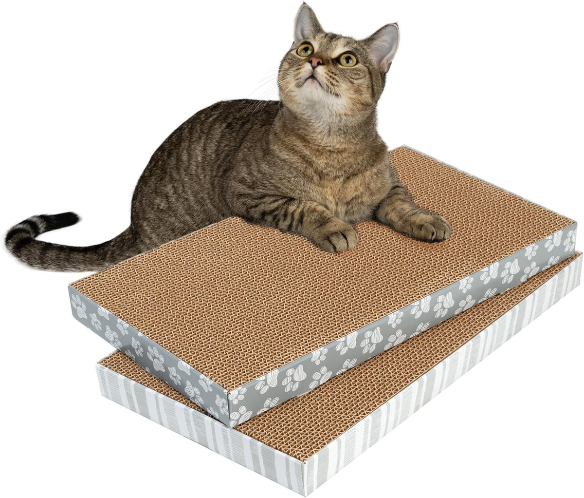 Kitty City XL 3-Pack Cat Scratcher Pads - Paws / XL 2-Pack