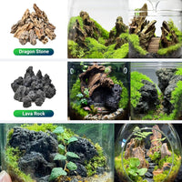Natural Rocks Seiryu Stone 1-2.5 Inches Decorative Stones for Fairy - Lava Rock / 2lb(1-2.5Inch) - image 3