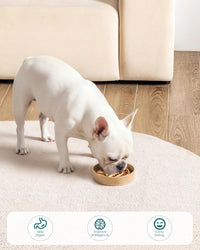 vancasso Slow Feeder Dog Bowl - Brown / 0.6 Cups - image 2