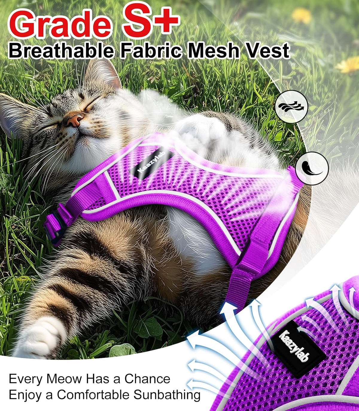 Cat Harness and Leash for Walking Escape Proof Soft Adjustable Cat - Purple / XS (4-6lb) - image 3