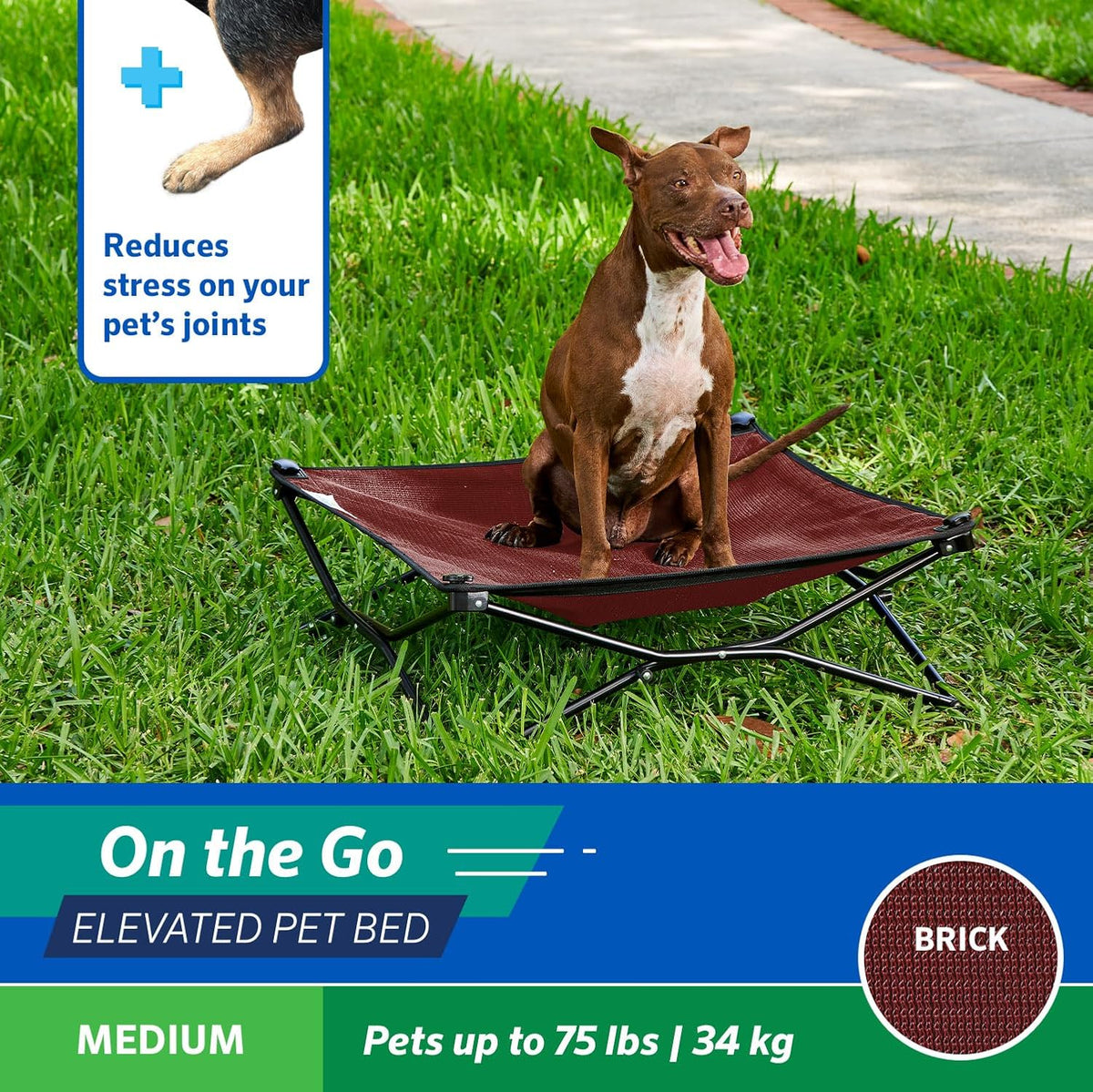 Coolaroo On-The-Go Elevated Dog Bed - Medium / Brick - image 3