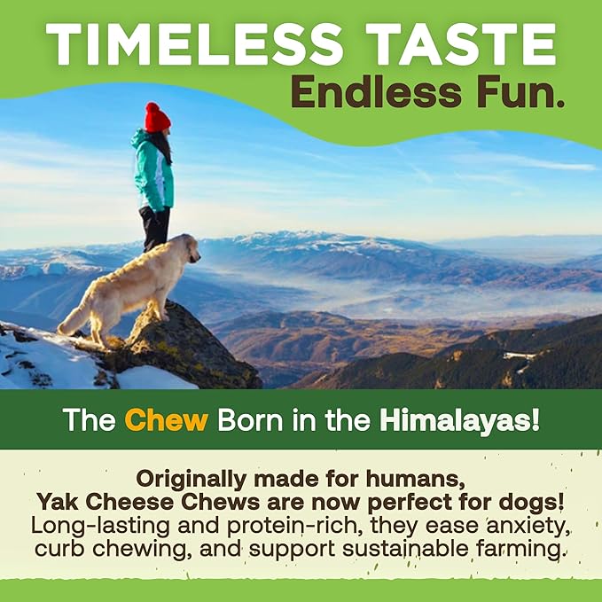 EcoKind Premium Gold Yak Cheese Himalayan Dog Chews, Dog Treats Large Breed, All Natural, High Protein, for Aggressive Chewers, Large - 8+ Chews (2 lbs)