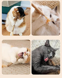 Tocirelo Kitten Chew Toys Teething - 6Pack Natural Silvervine Sticks for Cats, Matatabi Cat Feather Toy Chew Sticks, Cat Teeth Cleaning Treats for Indoor Bored Kitten