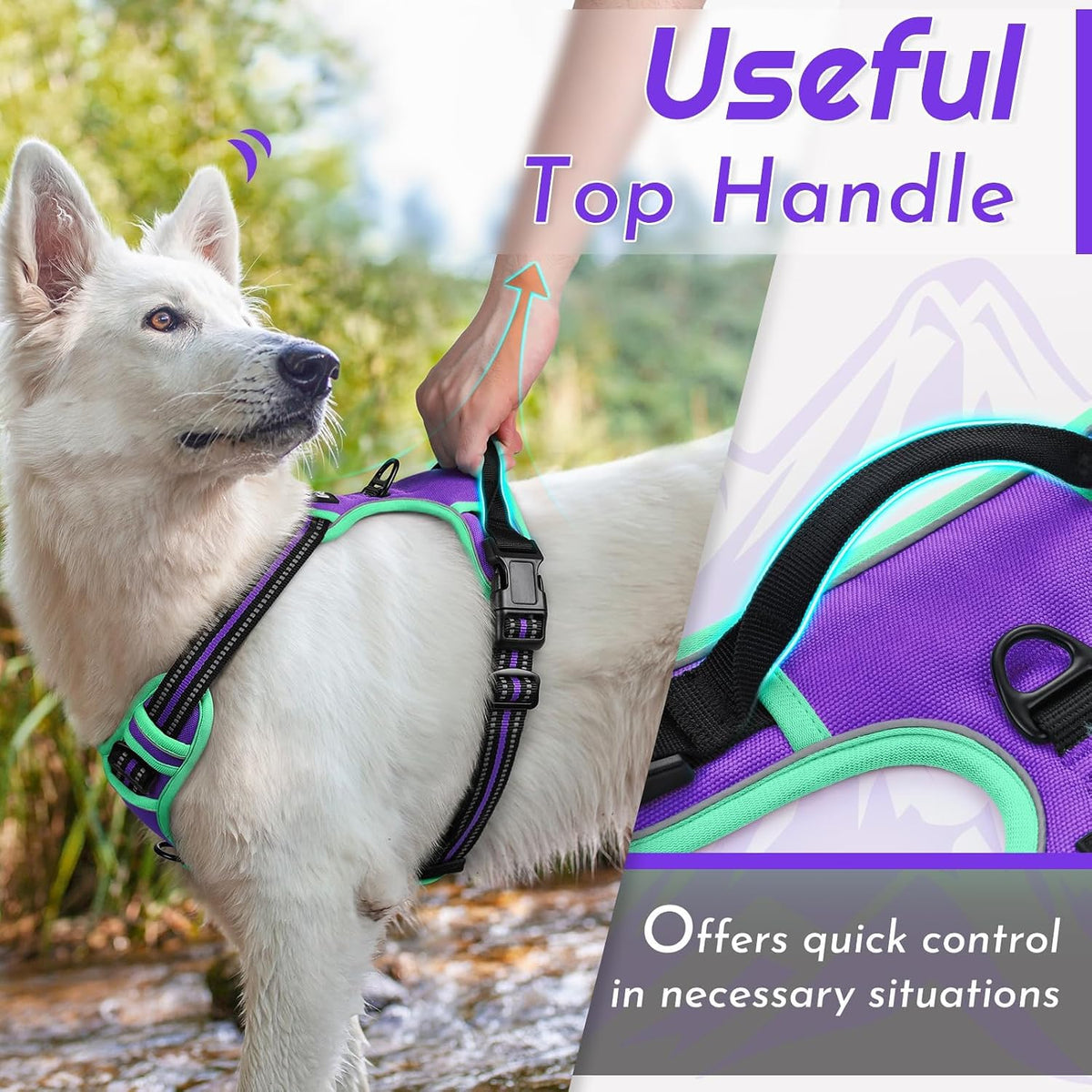 Eagloo Dog Harness for Large Dogs - Large / Purple & Turquoise - image 4