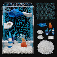 Jumping Spider Enclosure Starter Kit - Blue / Large