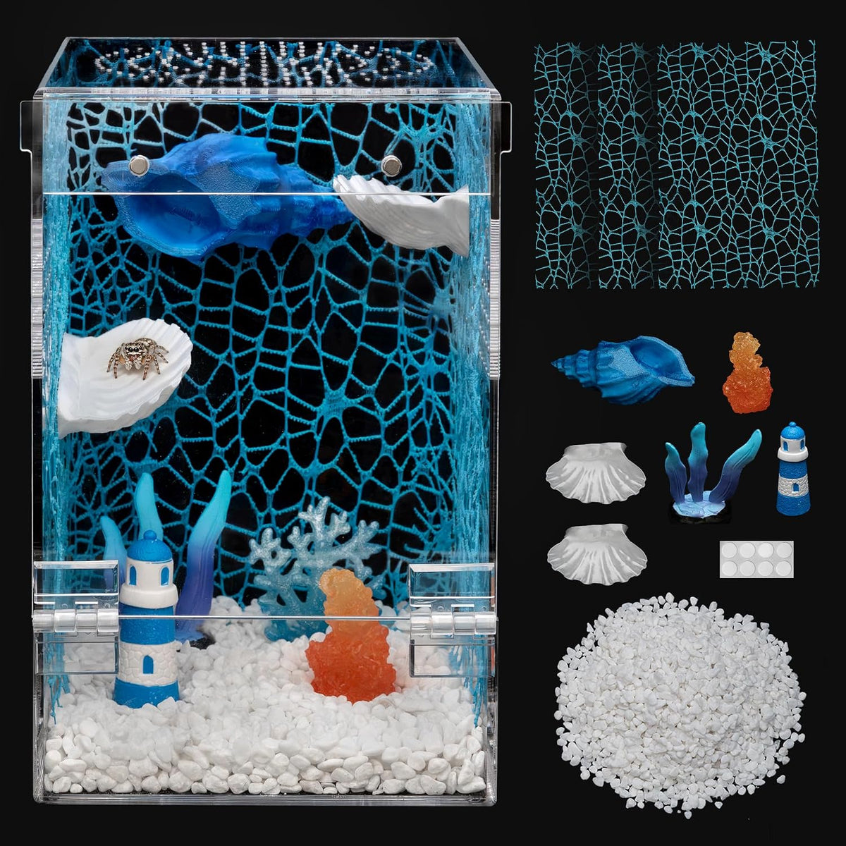 Jumping Spider Enclosure Starter Kit - Blue / Large