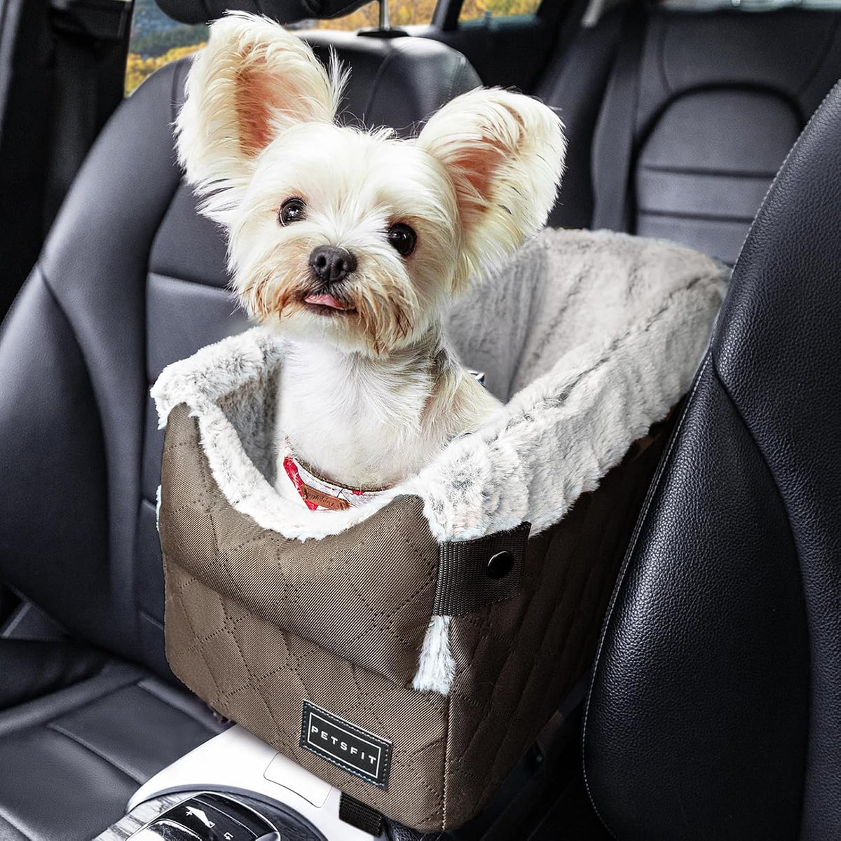 PETSFIT Center Console Dog Car Seat with Adjustable Seat-Rail Anchor - Coffee / Small