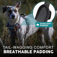 Embark Adventure Dog Harness, Reflective Trim No Pull Dog Harnesses for Small Sized Dogs - Military Grade Nylon, Front Clip with Gel Lined Handle. Soft & Padded Puppy