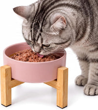 Elevated Cat Water Bowl, Ceramic Raised Cat Food Bowl with Adjustable Bamboo Stand, 5.1" Compact - Small / Pink