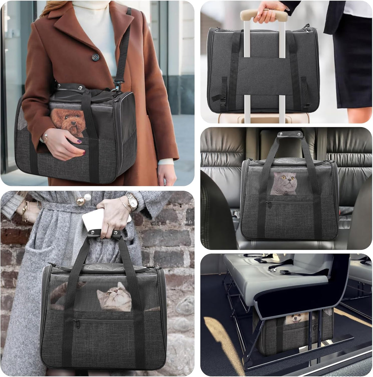 JUNGYOUN Premium Cat Carrier - Dark Grey / 17.5"L x 12.4"W x 13.5"H - image 3