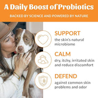 SKOUT'S HONOR Probiotic Pet Deodorizer Spray- Hydrating Daily-Use with Avocado Oil & Omega-3s, Microbiome Friendly Certiified, Paraben & Sulfate-Free, 97% Natural, 8oz, Honeysuckle, 2-Pack
