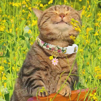 2 Pack Cotton Breakaway Cat Collars Set with Bell and Flower Pendant - beige+navy blue - image 4
