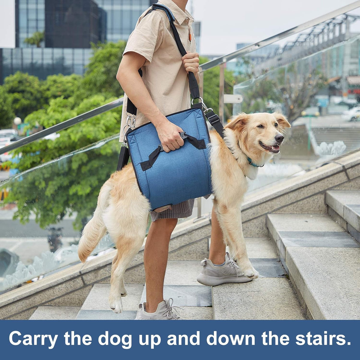COODEO Dog Carry Sling, Emergency Backpack Pet Legs Support & Rehabilitation Dog Lift Harness - Blue / X-Large - image 3