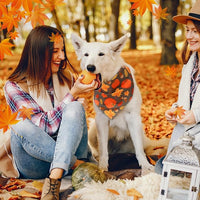 Abbylike 50 Pcs Fall Dog Bandanas Bulk Pumpkin Bandanas for Dogs Triangle Kerchief Bibs Scarf for Small Medium Large Pets Autumn Thanksgiving Costume Accessories, 25 Styles (31.5 x 21.7 x 21.7 Inch)