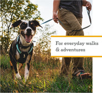 Ruffwear, Hi & Light Dog Chest Harness - Basalt Gray / Medium - image 2