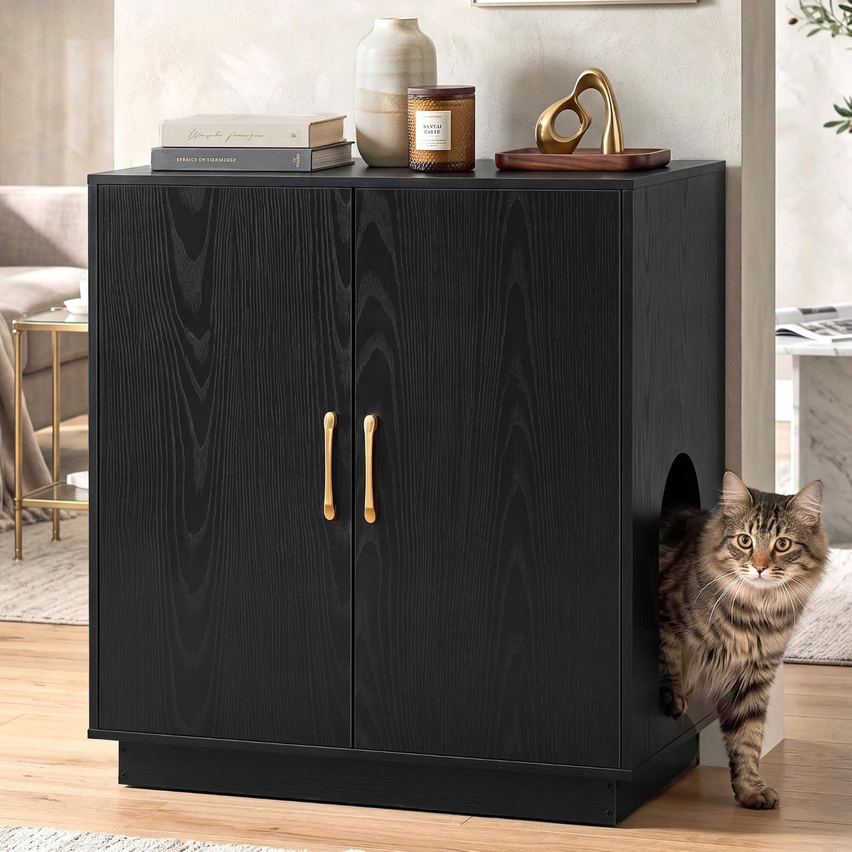 Gitelsnour 30.9'' Litter Box Enclosure Furniture, Hidden Storage - 27.6'' L x 17.7'' W x 31.3'' H / Black