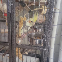 Parrot Feeding Dish Cups,Stainless Steel Bird Food Water Bowl Parakeet Feeder Birds Cage Ball Toys - 【4 PCS】 / 【S:3.9x1.6 Inches】 - image 3