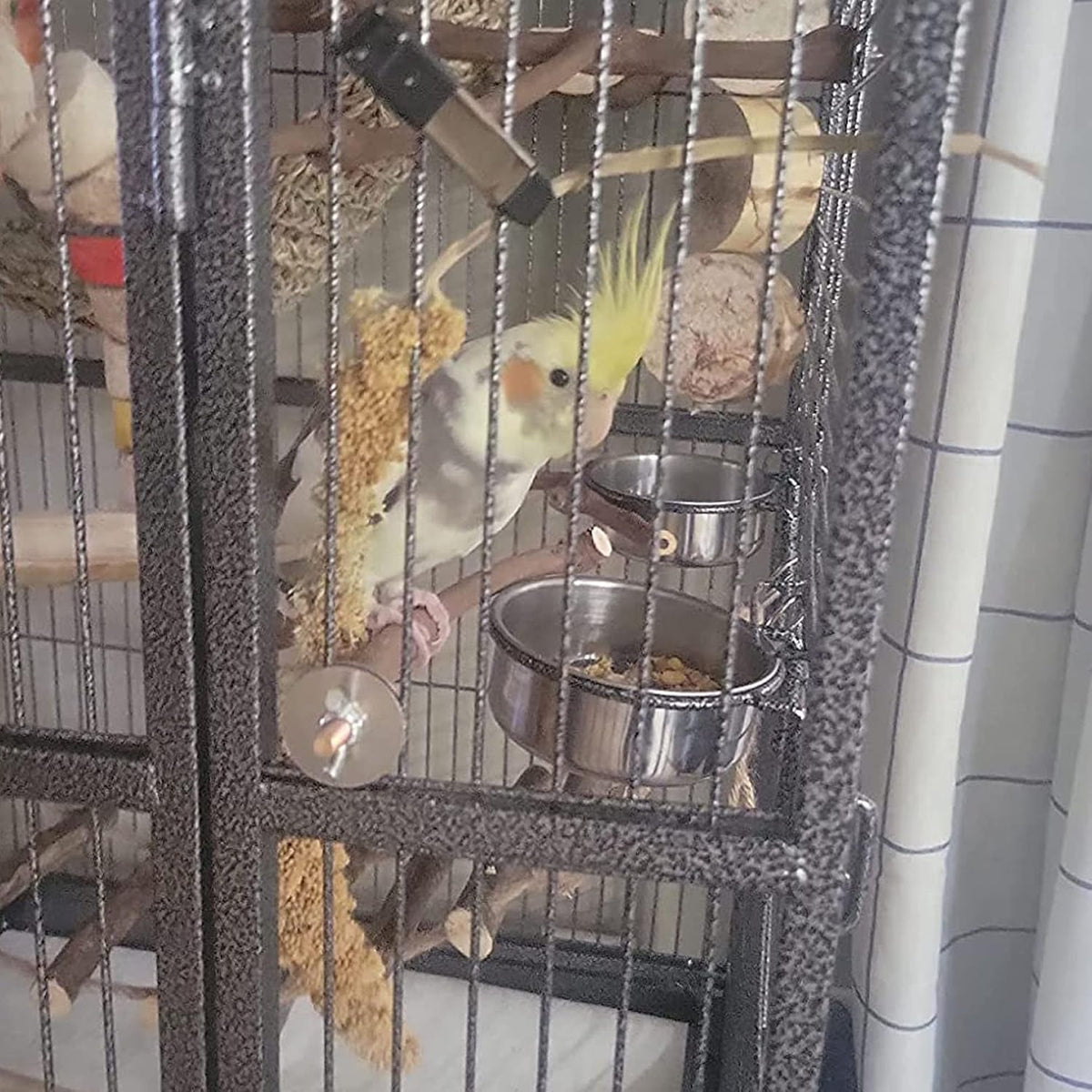 Parrot Feeding Dish Cups,Stainless Steel Bird Food Water Bowl Parakeet Feeder Birds Cage Ball Toys - 【4 PCS】 / 【S:3.9x1.6 Inches】 - image 3