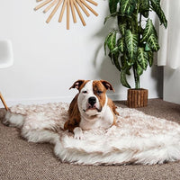 IHAPPYDOG Luxury Faux Fur Orthopedic Dog Bed, Memory Foam Dog Bed for Small, Medium, Large and XL Pets, Fluffy Pet Bed with Waterproof and Washable Cover (White w/Brown Tips, 60"x35")