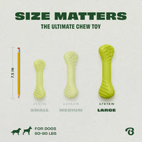 Benebone Natural Rubber Tug Interactive Dog Toy – Essentials for Dogs - Bone / Large - image 2