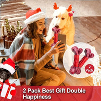 Apasiri Tough Dog Toys for Aggressive Chewers Large Breed, 2-Pack Dogs Chew Toys for Large Medium Dogs, Nylon and Rubber Dog-Bones for Teething Chew, Beef Flavor, for Doggo 20-75 lbs