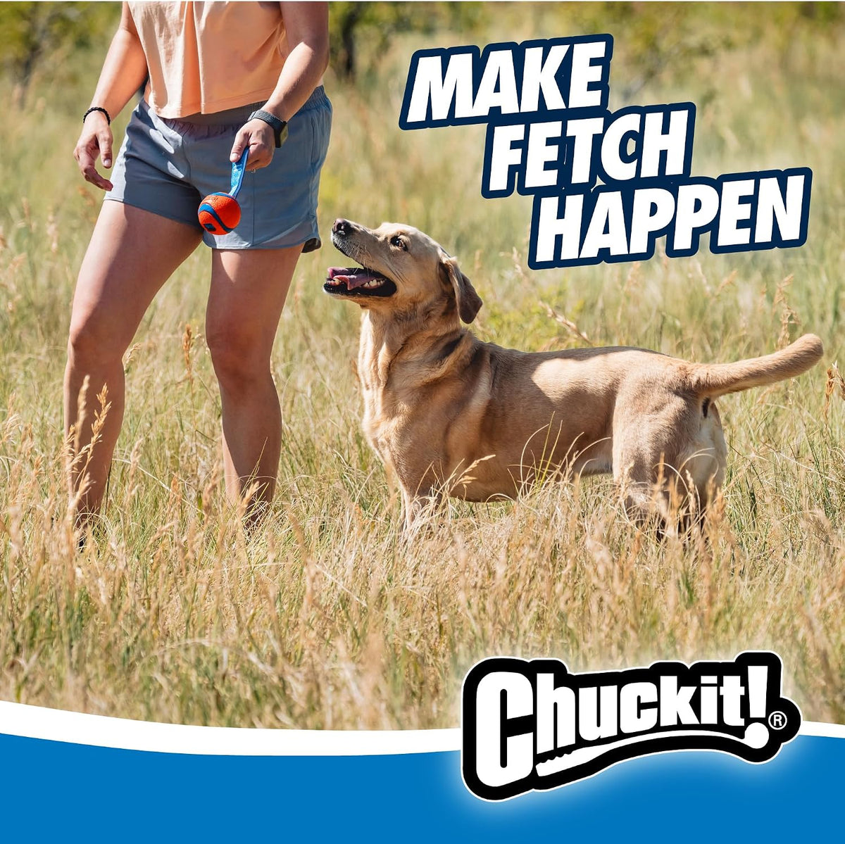 Chuckit! Ultra Tug Dog Toy - Medium (Pack of 12) / Ultra Tug - image 2