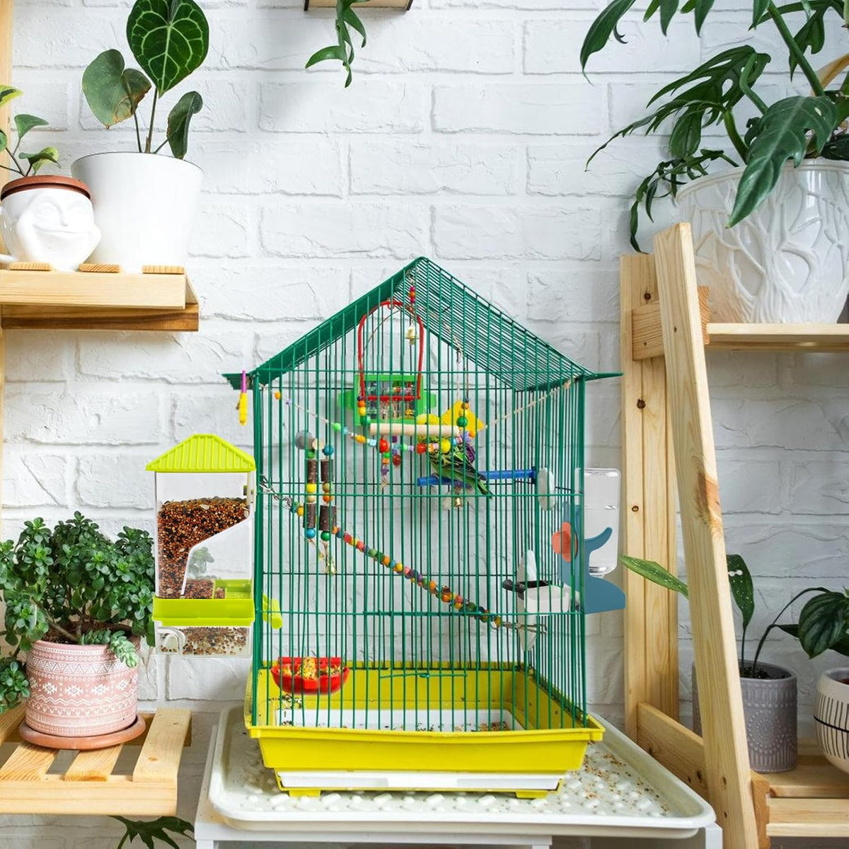 No-Mess Automatic Bird Feeder, Parakeet Cage Accessories – Essentials for Birds - A80 Green Feeder + Drinking Bottle - image 4
