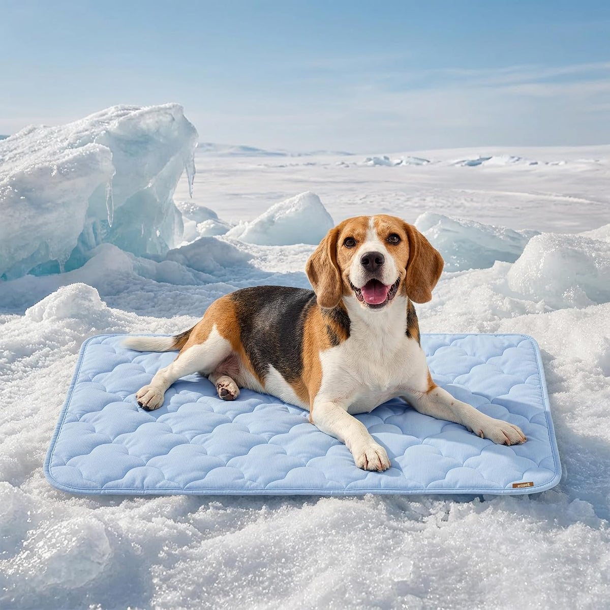 ZOMISIA Cooling Dog Mat Extra Large - 35x22"(L-Crate) / Blue