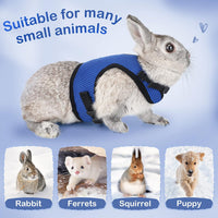 PETTOM Bunny Rabbit Guinea Pig Harness Stretchy Elastic Leash Cute - XL(Chest:12.5-15.7 in) / Blue - image 4
