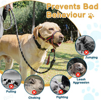 Muzzle Leash for Heavy Pullers, No Pull Stylish Head Halter – Essentials for Dogs - Red / M (Snout Cir: 9½"-11”) - image 2