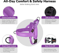 Didog No Pull Dog Harness for Large Dogs, Breathable Mesh Padded - Purple / XS: Chest 15-19", Fit 9-18 lbs - image 4
