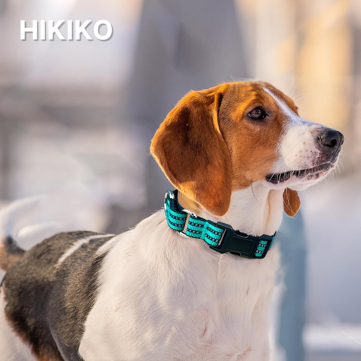 Martingale Collar for Dogs, Reflective Escape Proof, M - Turquoise / Medium - image 4