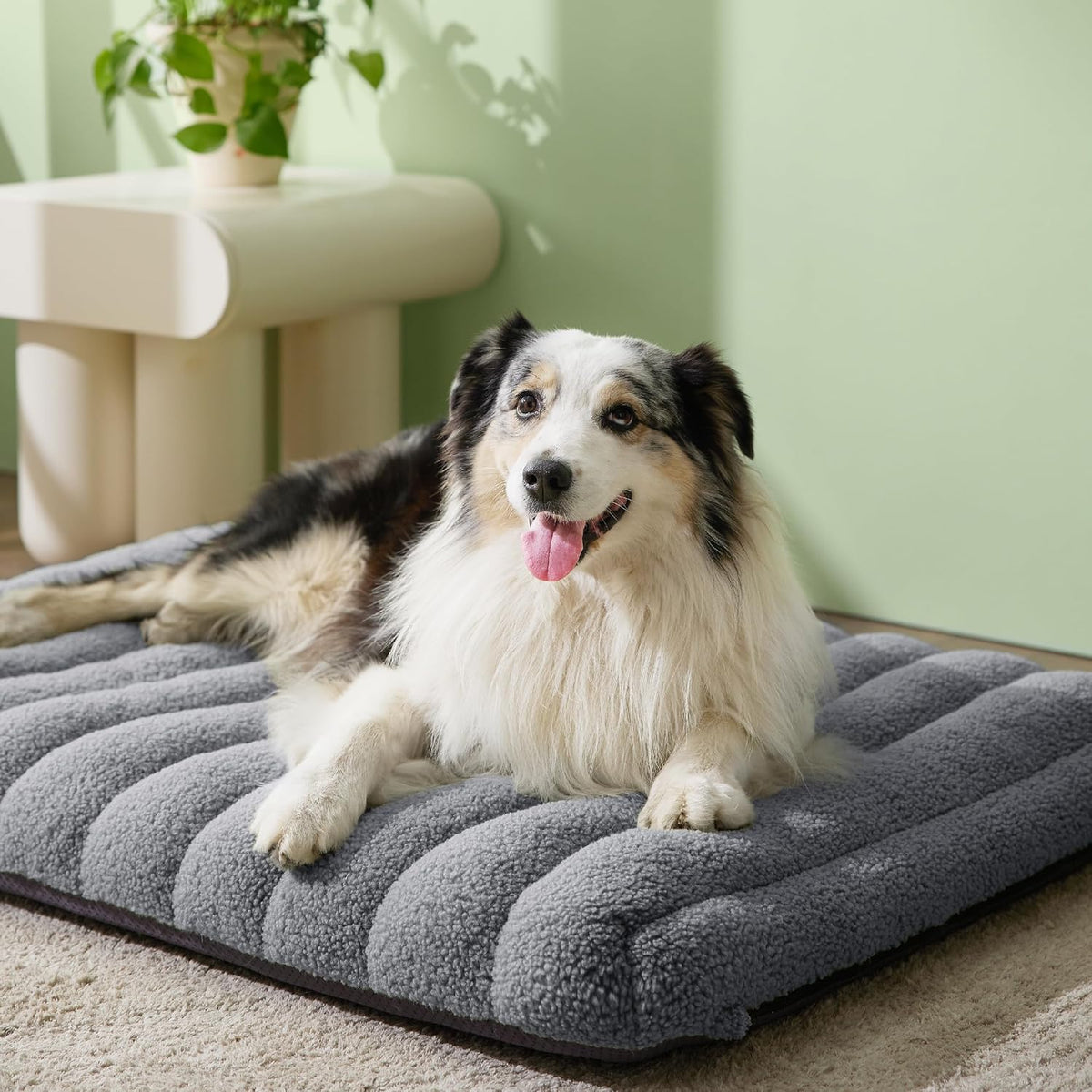 LE SURE Cute Orthopedic Dog Bed Large Sized Dog, Flat Pet Mat - 36"L x 27"W x 4"Th / Grey - image 2