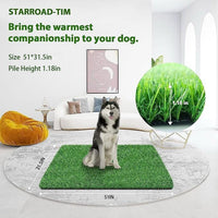 30 x 20 inches 2 Pack Fake Grass Pee for Dogs Artificial Grass Rug - 51 x 31.5 Inch (Pack of 1)