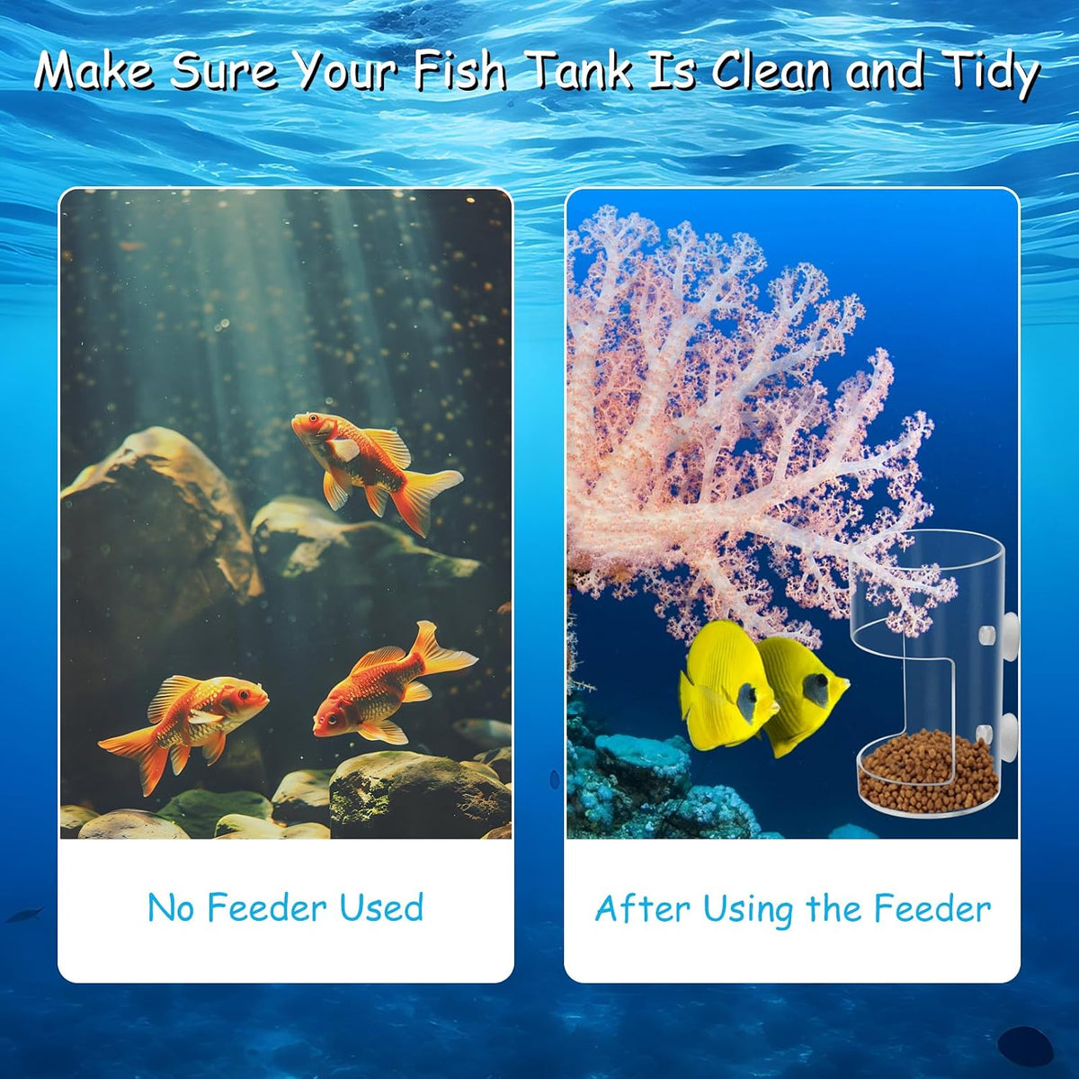 2Pcs Aquarium Fish Feeder Feeding Tray with Suction Cup - 2.Transparent - image 4
