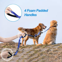 Double Dog Leash, No Tangle Dual Leash - Blue - image 3