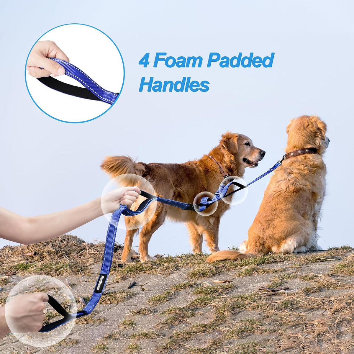 Double Dog Leash, No Tangle Dual Leash - Blue - image 3