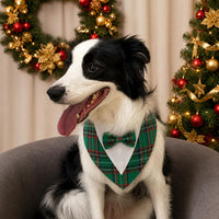 Dog Tuxedo for Small Dogs Valentines Bandana with Bowtie Wedding Tux – Essentials for Dogs - Christmas-Green / X-Small - image 3