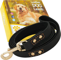 ADITYNA Leather Dog Leash for Large, and Small Dogs - L - 6 ft x 3/4 inch / Black - Gold Colored Clasp