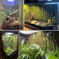 Reptile Terrarium Cork Background - [3 PCS] - image 3