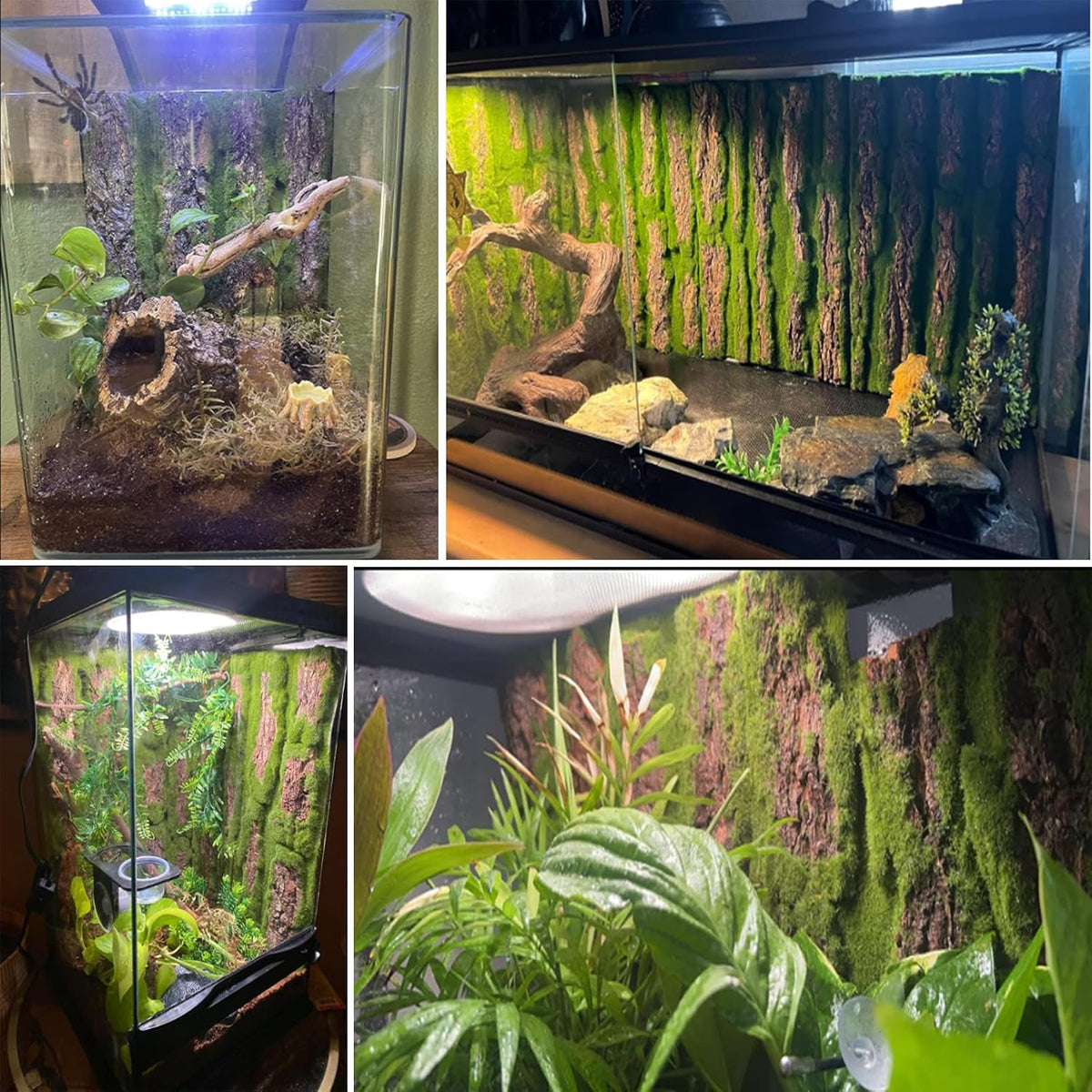 Reptile Terrarium Cork Background - [3 PCS] - image 3