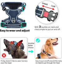 Timos Dog Harness, No Pull Large Sized with 3 Buckles - Large / Lock Royal Blue - image 2