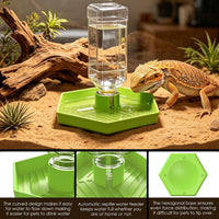 Reptile Water Dispenser Bowl for Bearded Dragon Tortoise – Essentials for Reptiles And Amphibians - Apple Green / L - image 4