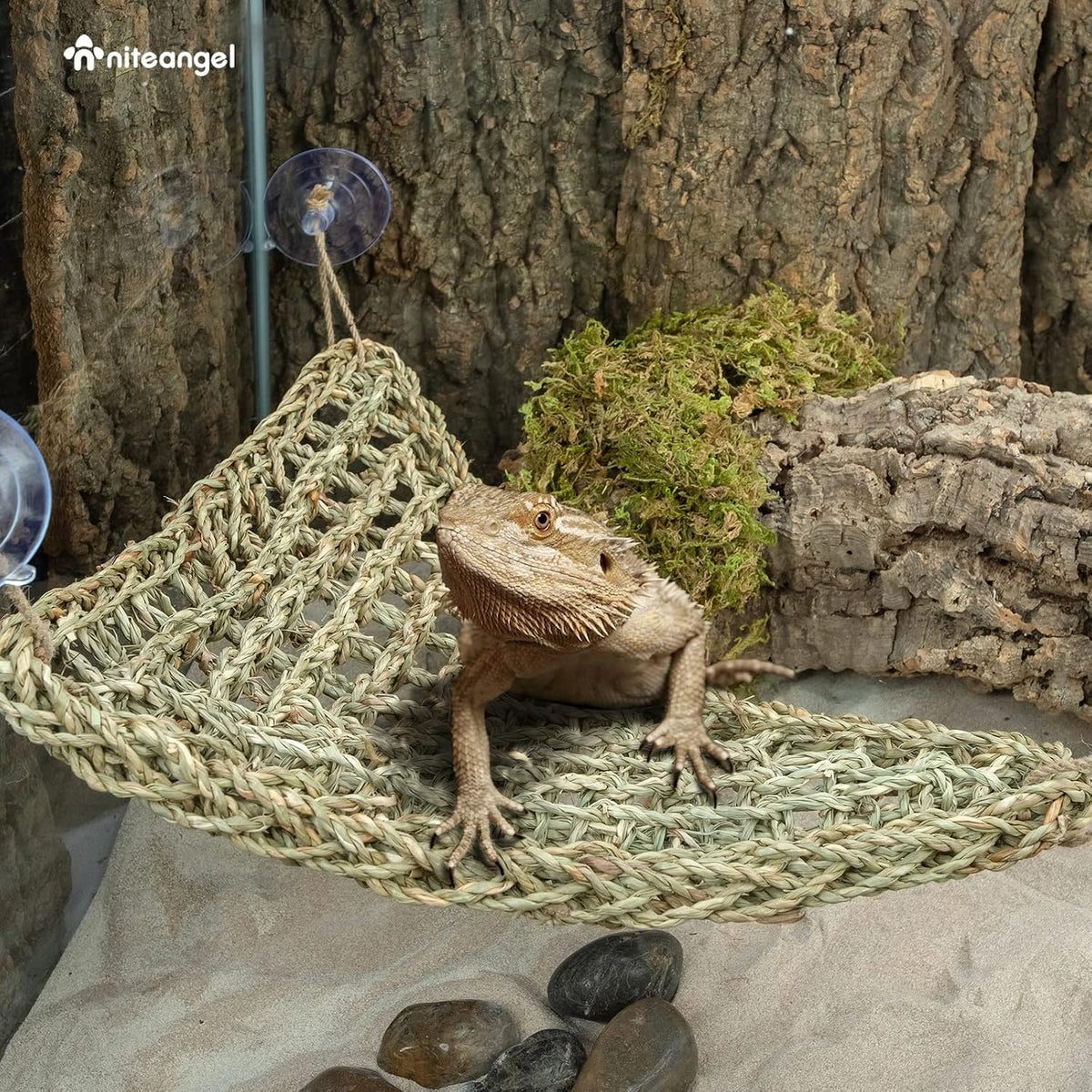 Niteangel Bearded Dragon Seagrass Hammock: Triangle 17'' x 12.5'' – Essentials for Reptiles And Amphibians - Triangle 17'' x 12.5'' - image 4