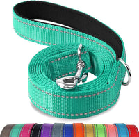 Joytale Reflective Dog Leash for Medium & Large Dogs - 6 ft Narrow / Teal