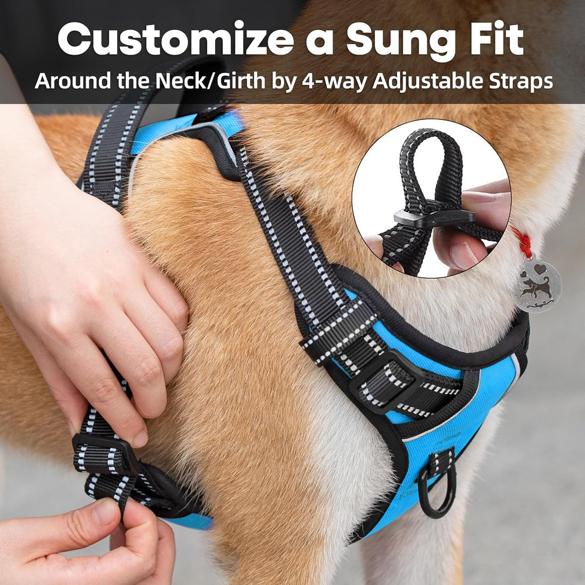 PoyPet No Pull Dog Harness Medium - XS / Blue - image 4