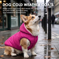 Dog Winter Coat,Warm Fleece Lined Dog Jacket with Leash Hole & Hood – Essentials for Dogs - Pink / X-Small - image 3